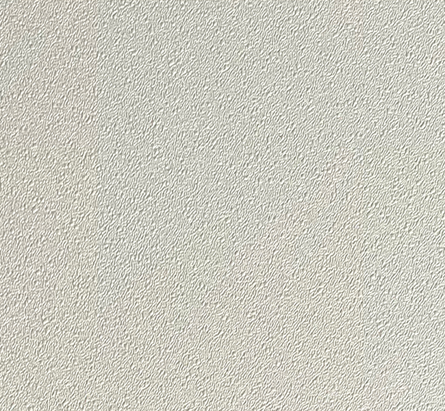 S009硅藻泥.jpg